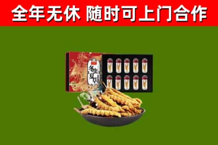 民勤县回收冬虫夏草价格