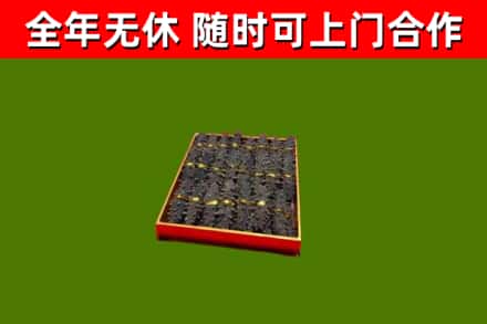 民勤县回收海参